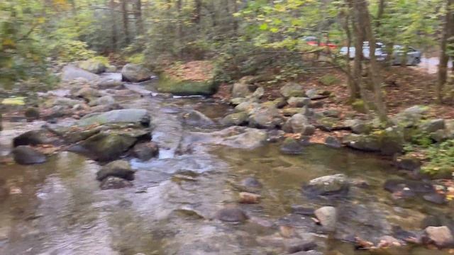 Америка: Парки Южной Каролины смотреть онлайн