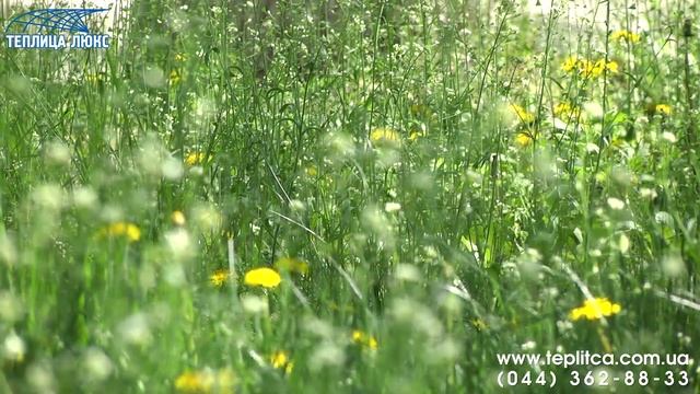 Сьемка рекламного виде-ролика по продаже садовых качелей смотреть онлайн