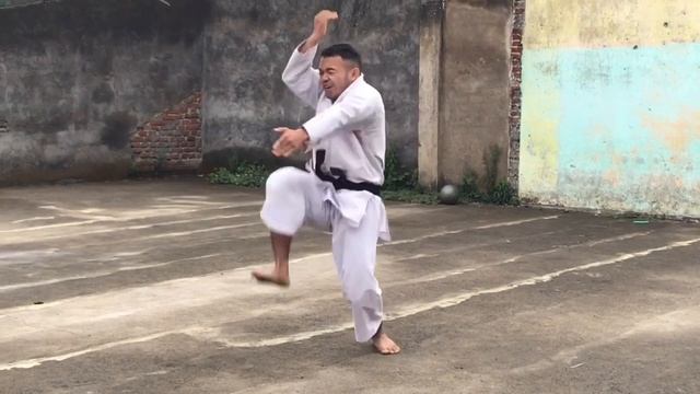 KANKUSHO - WORLD KARATE смотреть онлайн