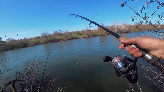 Как работает оснастка убийца карася. Как правильно рыбачить на убийцу карася. смотреть онлайн