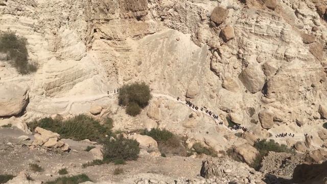Израиль: заповедник Эйн-Геди смотреть онлайн