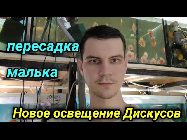 Монтаж нового освещения у Дискусов смотреть онлайн