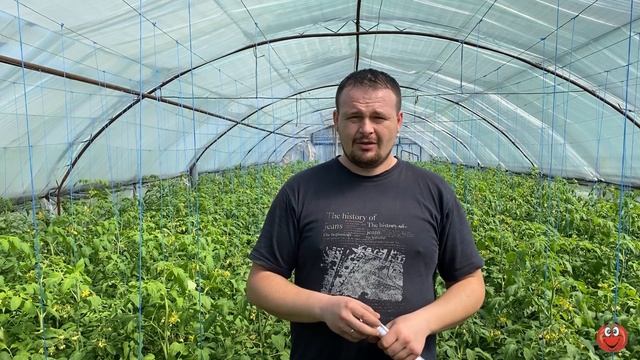 Пасмурно! КАК кормить в пасмурную погоду! смотреть онлайн