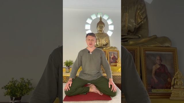 Медитация благодарности metta смотреть онлайн