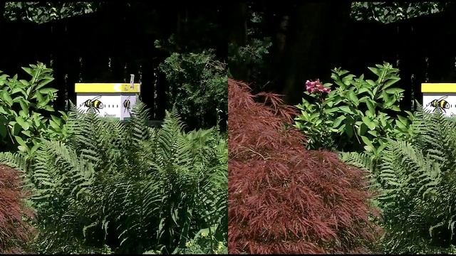 Секреты шмелей в 3D смотреть онлайн