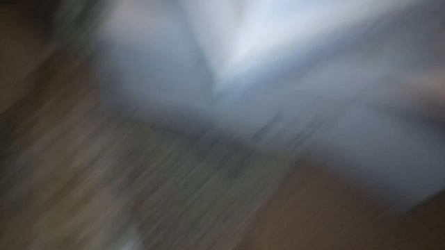 ??? Угадайте куда мы положили яйцо неразлучника и что с ним будет ??? смотреть онлайн