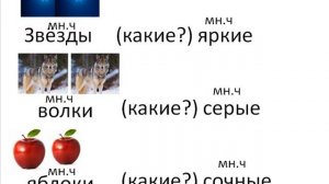 Число имён прилагательных. 2 класс