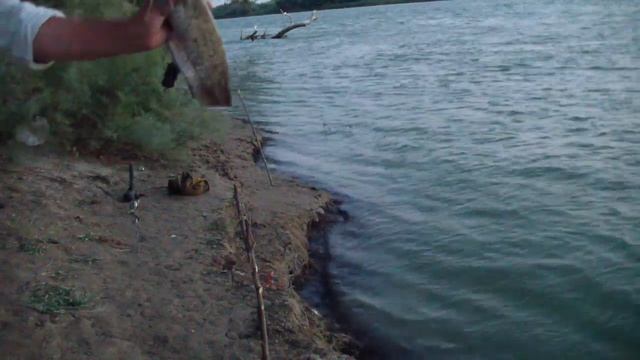 РЕКА СЫРДАРЬЯ ОХОТА НА СОМА. ДЕНЬ ТРЕТИЙ смотреть онлайн