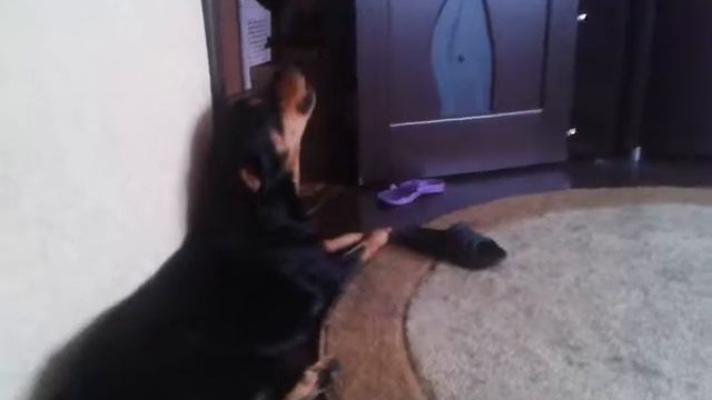 Подпевка смотреть онлайн