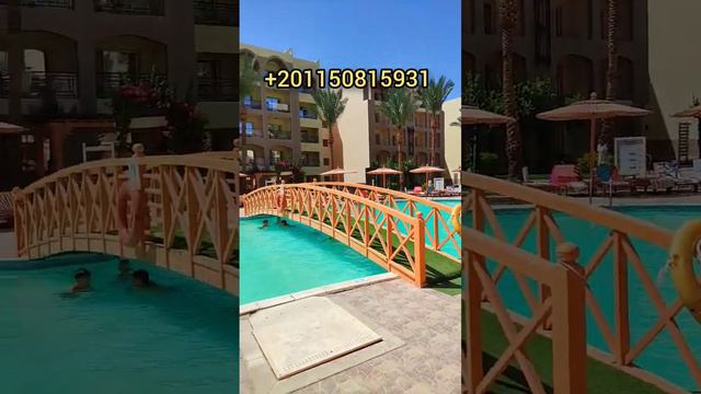 снимать жилье в отеле #египет #недвижимость #realestate #summer #люди #восток #hotels #важно #egypt смотреть онлайн
