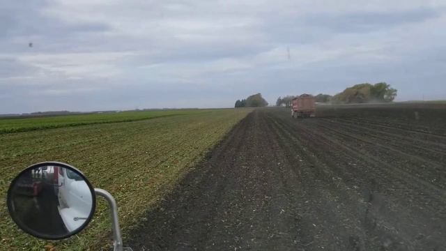 Git'n In Line. смотреть онлайн