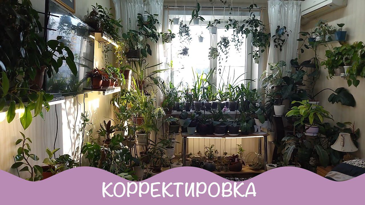 Внесла изменения. Как вам? ;) смотреть онлайн