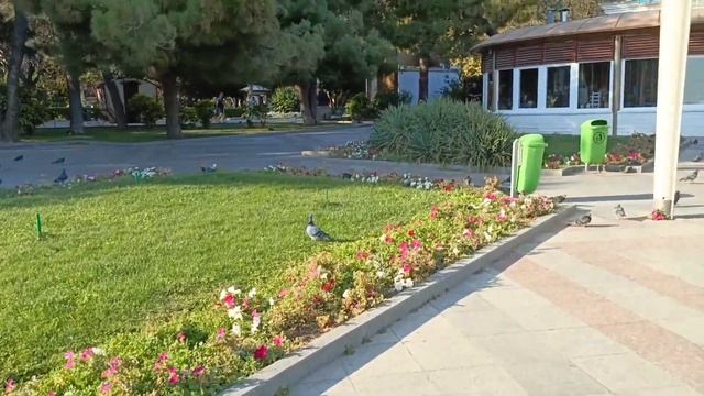 Крым ЯЛТА СИЛЬНЫЙ ШТОРМ НА МОРЕ.ОСЕННЯЯ НАБЕРЕЖНАЯ В СЕНТЯБРЕ.КРЫМ 2023 смотреть онлайн