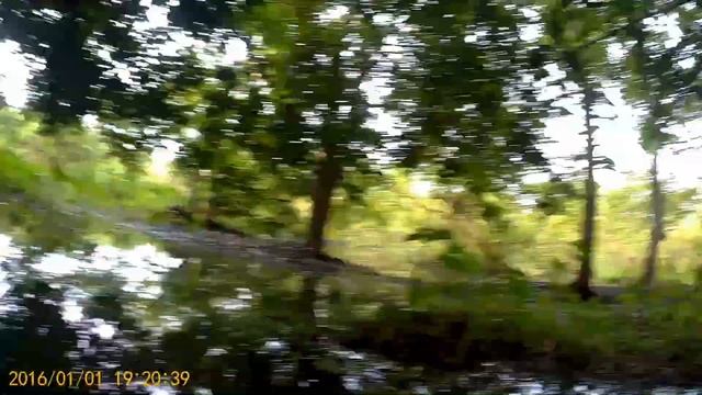 Guava Floating Market & Guava Gardens