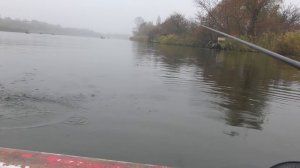 Маховая удочка на ТЕЧЕНИИ