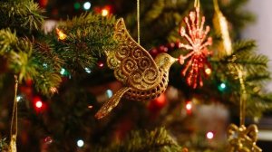 Русская гематрия №4. Рождество. Любовь Семенова. Школа Звездных врат 11.11.