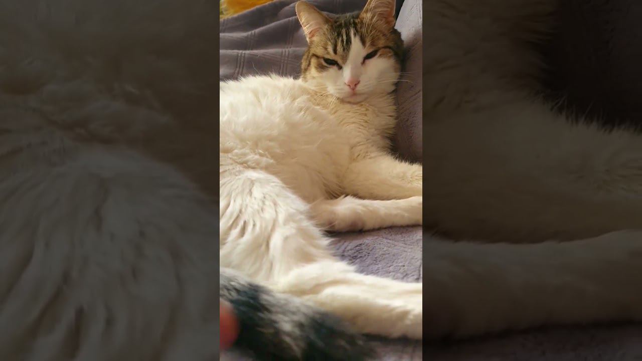 Не в духе... смотреть онлайн