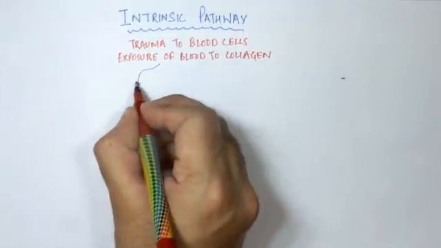Coagulation Cascade SIMPLEST EXPLANATION !! The Extrinsic and Intrinsic Pathway of HEMOSTASIS смотреть онлайн