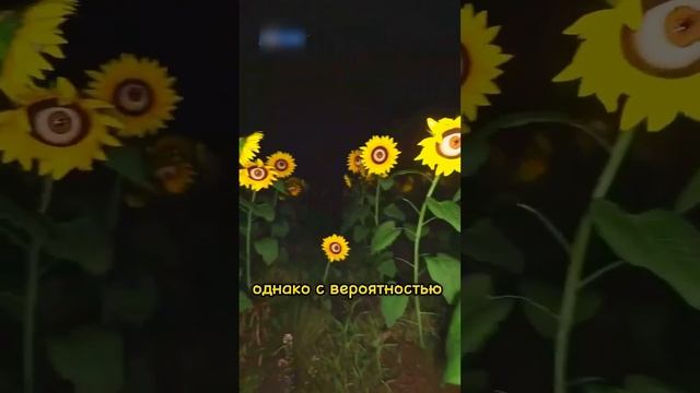 Самые РЕДКИЕ Явления в ЗАКУЛИСЬЕ #backrooms #закулисье смотреть онлайн