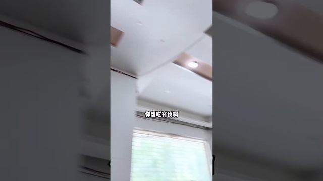 挑戰魚子醬不限量的海鮮自助！ 滿滿一碗直接當大米飯吃，鮪魚刺身沾滿醬料一口爆汁真過癮【櫻木花胖】 смотреть онлайн