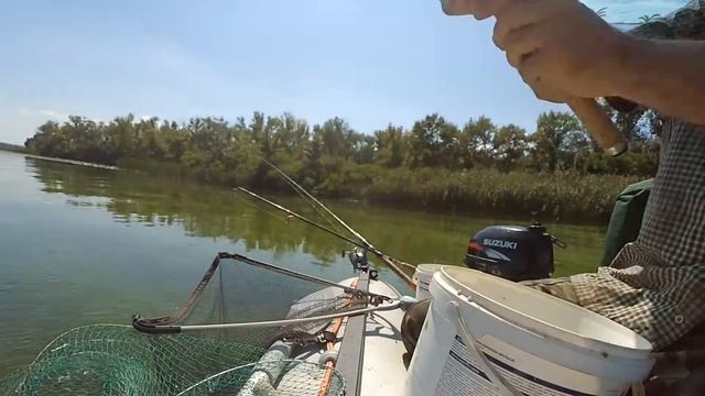 Ловля белой рыбы с лодки на течение река #днепр #МексиканецТВ смотреть онлайн