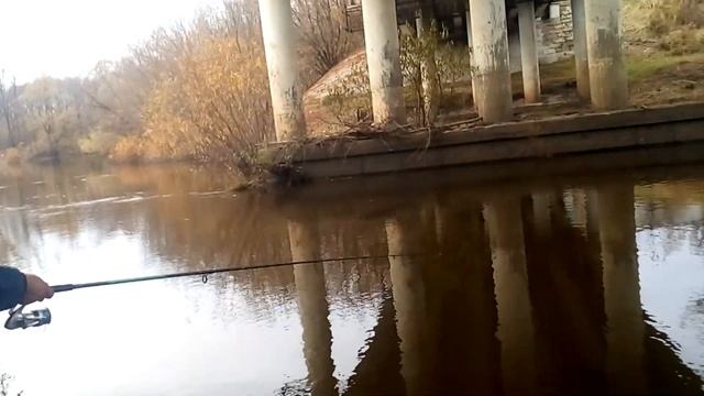 река болва 22 10 2022 смотреть онлайн