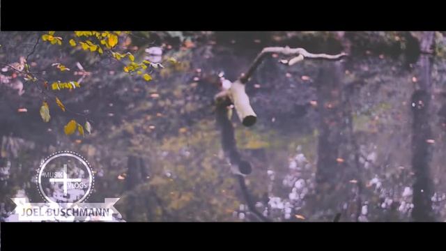 NIKON D5100 50mm 1.8 - AUTUMN FALL 2015 | Joel Buschmann смотреть онлайн