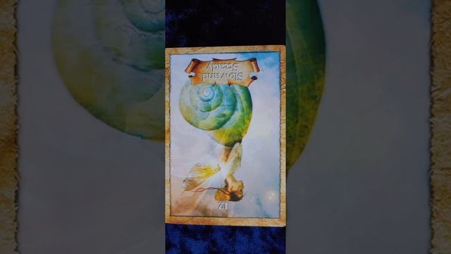 Slow and Steady ?️ The Enchanted Map Oracle card meaning смотреть онлайн