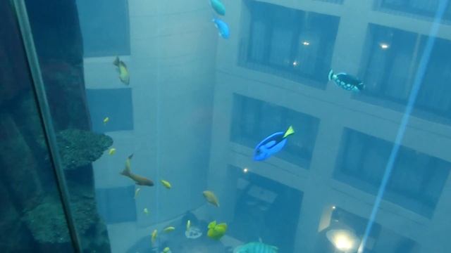 AquaDom Sealife Berlin, Germany смотреть онлайн