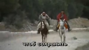 Караоке.Я поля влюблённым постелю.