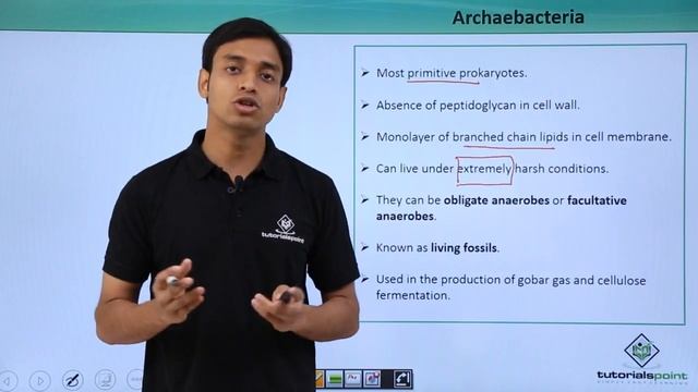 Class 11th – Archaebacteria – Introduction | Biological Classification | Tutorials Point смотреть онлайн