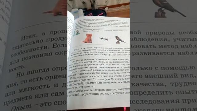 Вот как надо делать уроки !! смотреть онлайн