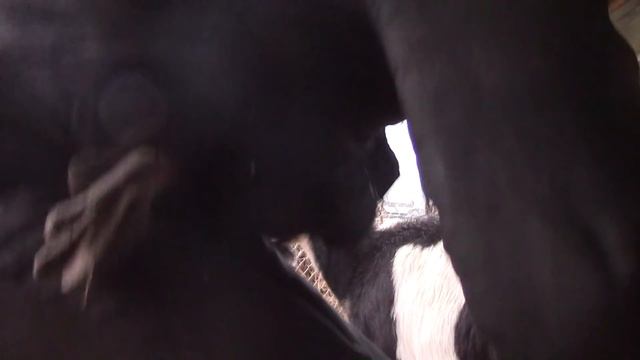 Еще козлят добавилось смотреть онлайн