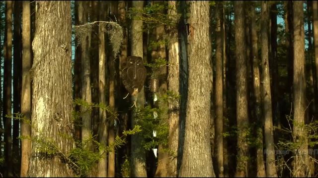 Призрак девушки пытается вернуть себе жизнь смотреть онлайн