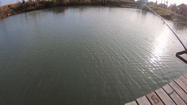 Ловим форель на платнике | Нахлыст | Форелевые стримеры | Удачный улов смотреть онлайн