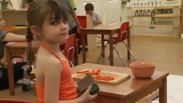 Introduction to Montessori Philosophy HD смотреть онлайн