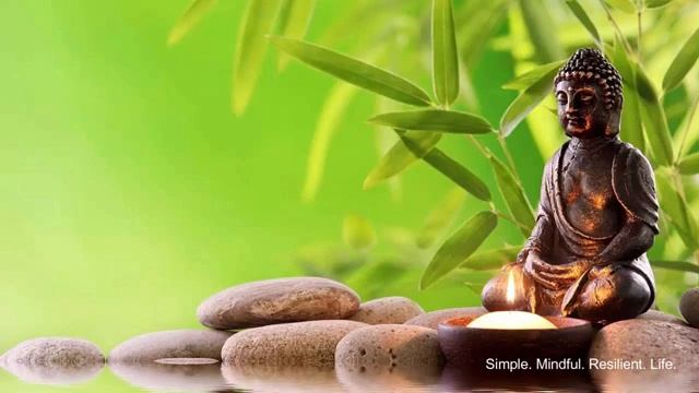 Healing Qigong Music for Soft Energy Flow смотреть онлайн