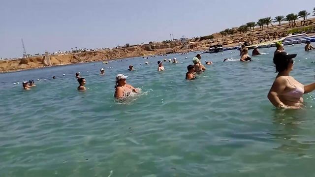 Пляж отеля OLD VIC (Египет, Шарм-эль-Шейх)