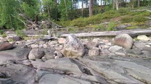 #Озеро#Рыбалка#Хариус Рыболовная прогулка по Сегозеру.