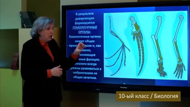 “Dərs vaxtı”: 10-cu sinif dərsləri (rus bölməsi) (08.04.2022) смотреть онлайн