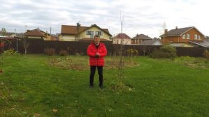 как посадить плодовый сад, подготовка почвы, выбор саженцев и места, способа посадки или сад мечты