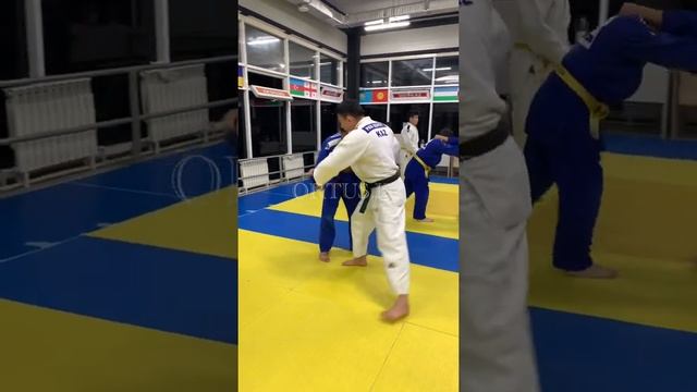 Дзюдо, работа над ошибками после тренировочного процесса. ORTUS.KZ дзюдо в Нур Султане (Астана) смотреть онлайн