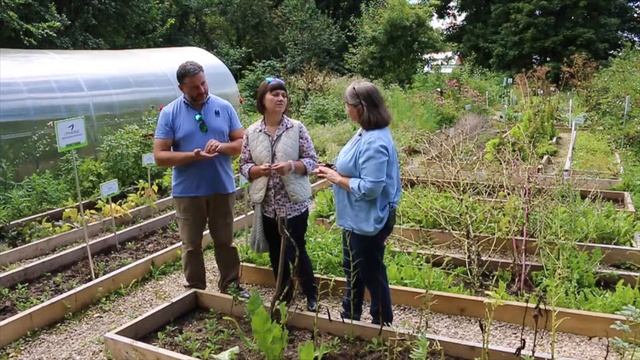 Про горох и бобы смотреть онлайн