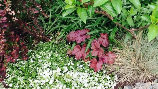 ???Красивый сад! Просто, с любовью-миксбордеры в моём ландшафте!(2часть)#обзорсада смотреть онлайн