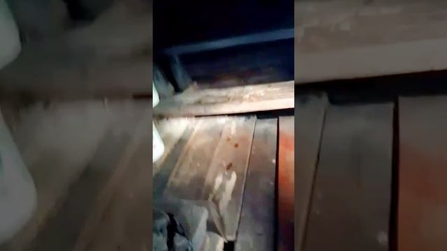 ТЫ НИКОГДА НЕ МЫЛСЯ В НАСТОЯЩЕЙ БАНЕ! один в деревне смотреть онлайн