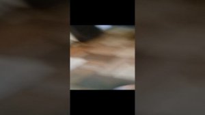 VID_20230408_183838.mp4