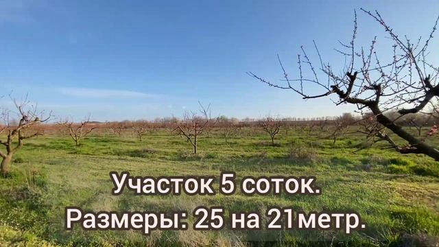 Недвижимость на берегу Азовского моря. Кучугуры Темрюкский район. Земельные участки в 1 км от моря. смотреть онлайн