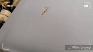 Перетяжка потолка vw transporter t4