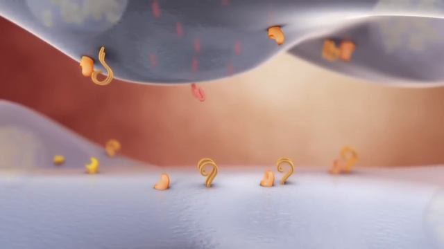 Platelet Activation and Factors for Clot Formation смотреть онлайн