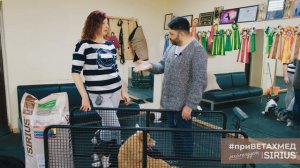 Содержание породы Вельш-корги кардиган #приВЕТАХМЕД